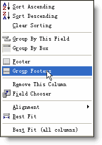 hv_groupfooter